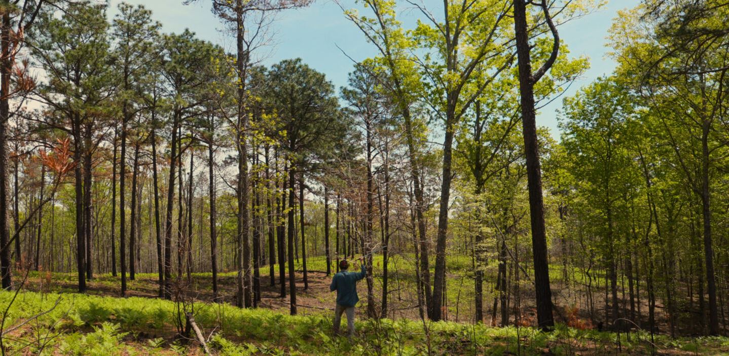 Georgia’s Dugdown Corridor: A ‘national model’ for conservation